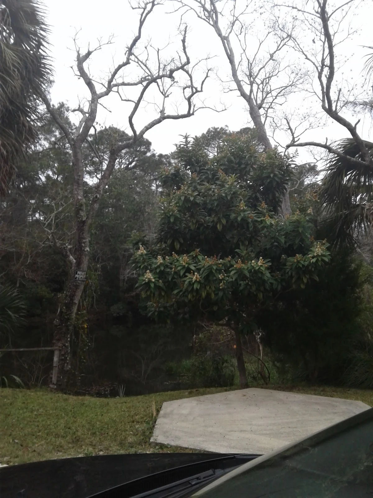 Osceola Municipal Golf Course