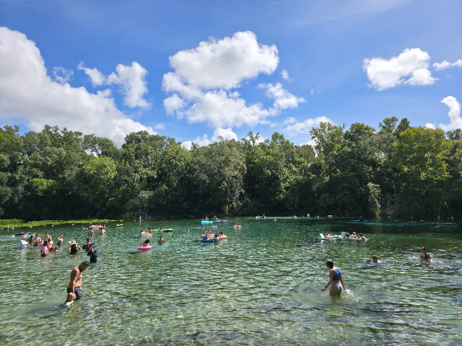 Alexander Springs